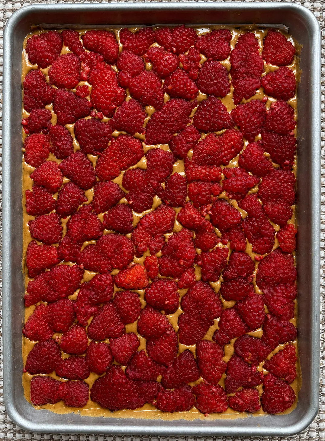 Fresh raspberries pressed into the bark
